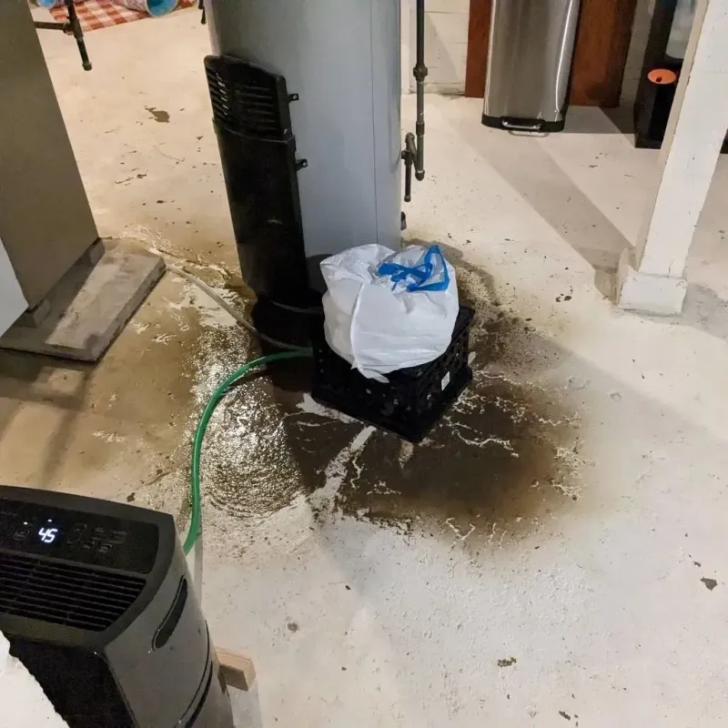 Sewage Backup Cleanup Service in Bullock County, AL